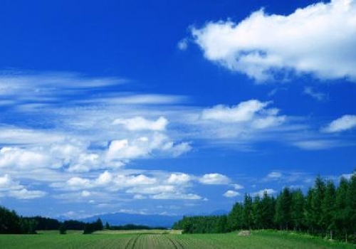 用好新能源 打好藍天保衛(wèi)戰(zhàn)
