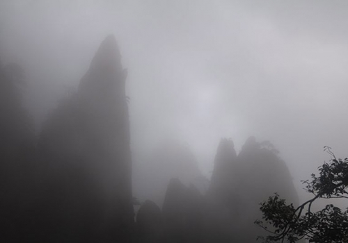 公司組織員工赴江西三清山旅游